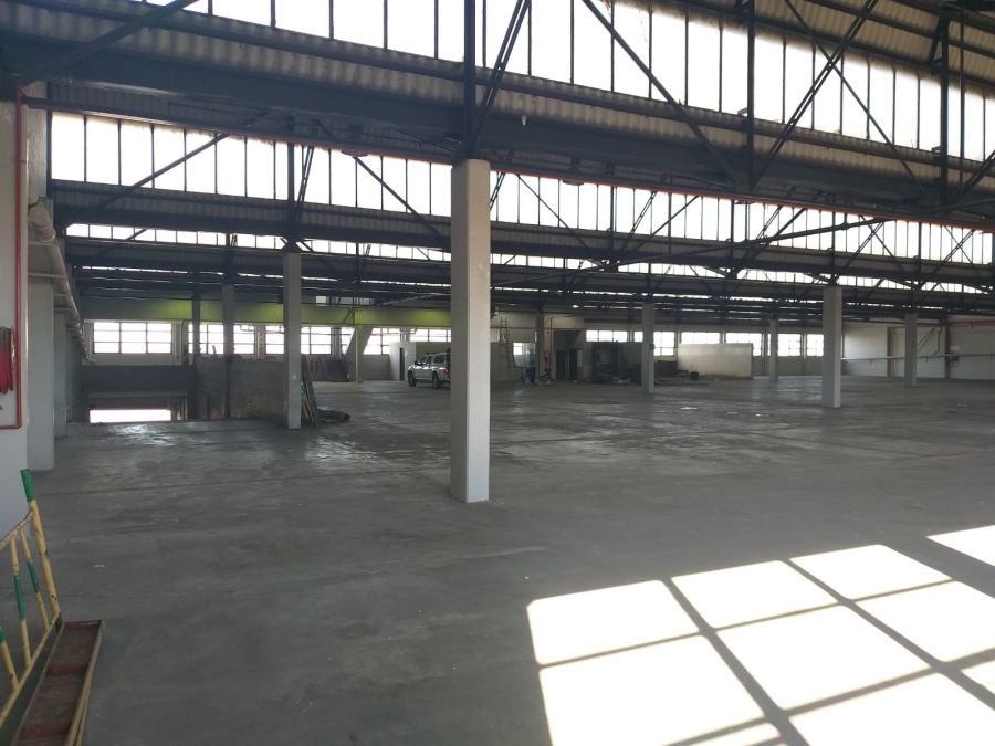 To Let Commercial Property for Rent in Paarden Eiland Western Cape